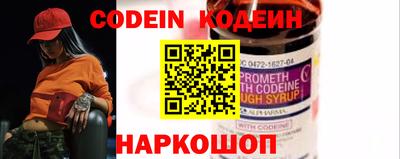 индика Кингисепп