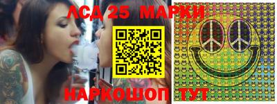 индика Кингисепп