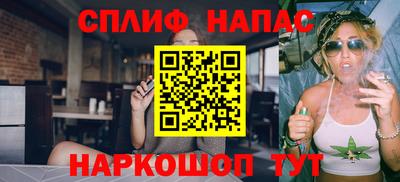 индика Кингисепп