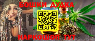 индика Кингисепп