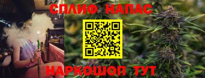 индика Кингисепп