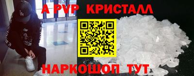 индика Кингисепп