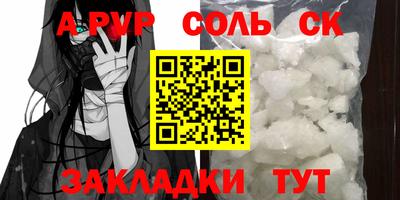 индика Кингисепп
