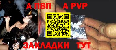 индика Кингисепп