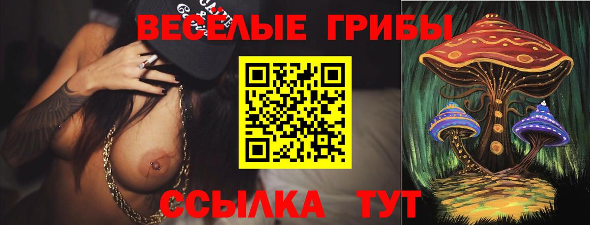 Галлюциногенные грибы MAGIC MUSHROOMS  Галлюциногенные грибы Cubensis  Заречный  Вход с VPN 
