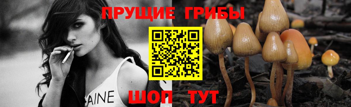 Галлюциногенные грибы Cubensis Заречный